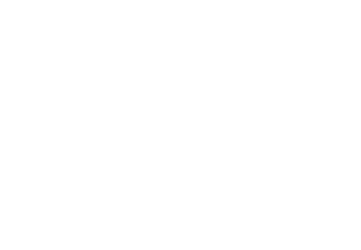 Insa Vogt